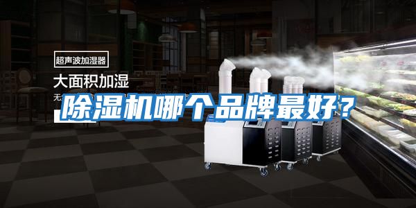 除濕機哪個品牌最好？