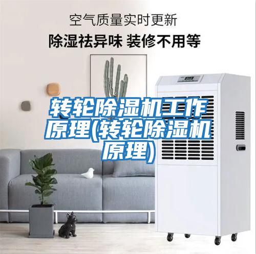 轉(zhuǎn)輪除濕機工作原理(轉(zhuǎn)輪除濕機原理)