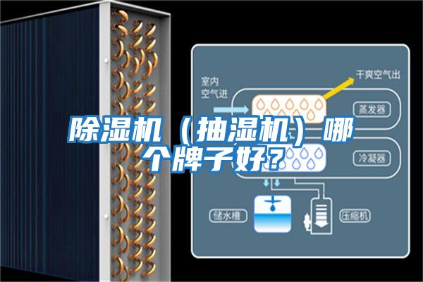 除濕機（抽濕機）哪個牌子好？