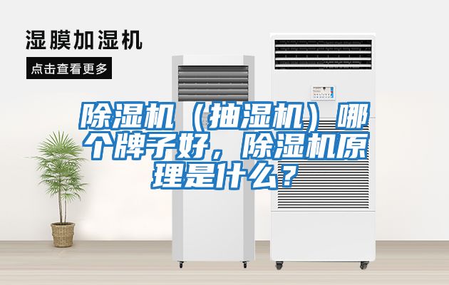 除濕機(jī)（抽濕機(jī)）哪個牌子好，除濕機(jī)原理是什么？
