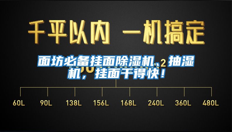 面坊必備掛面除濕機、抽濕機，掛面干得快！
