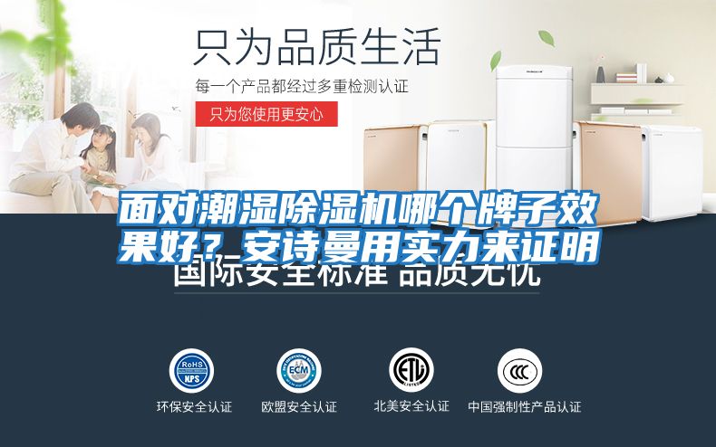 面對潮濕除濕機哪個牌子效果好？安詩曼用實力來證明